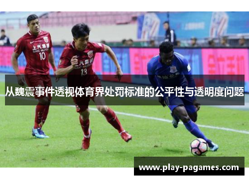 从魏震事件透视体育界处罚标准的公平性与透明度问题