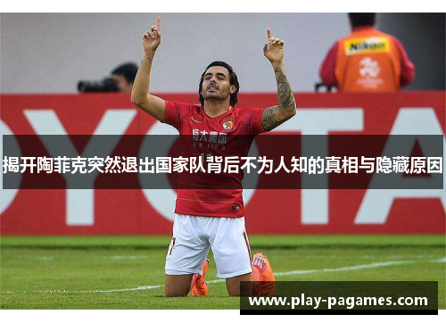 揭开陶菲克突然退出国家队背后不为人知的真相与隐藏原因 揭开陶菲克突然退出国家队背后不为人知的真相与隐藏原因