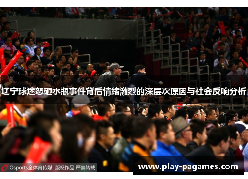 辽宁球迷怒砸水瓶事件背后情绪激烈的深层次原因与社会反响分析 辽宁球迷怒砸水瓶事件背后情绪激烈的深层次原因与社会反响分析