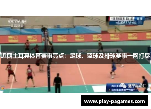 近期土耳其体育赛事亮点：足球、篮球及排球赛事一网打尽